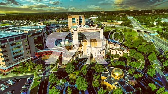 Memphis famous Business