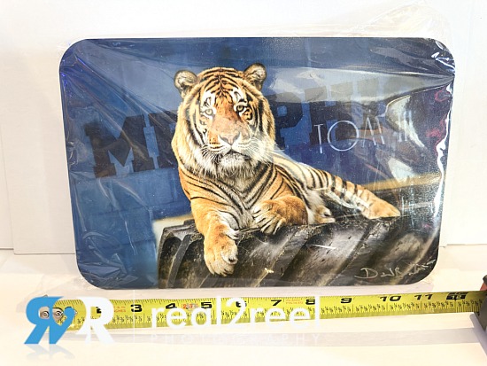 8x12 Metal Print "Tom the Tiger University of Memphis"